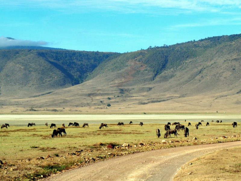 destinations-ngorongoro1